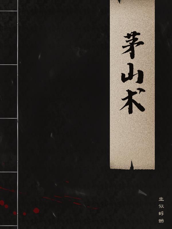 茅山术士是什么意思