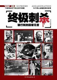 终极刺客1